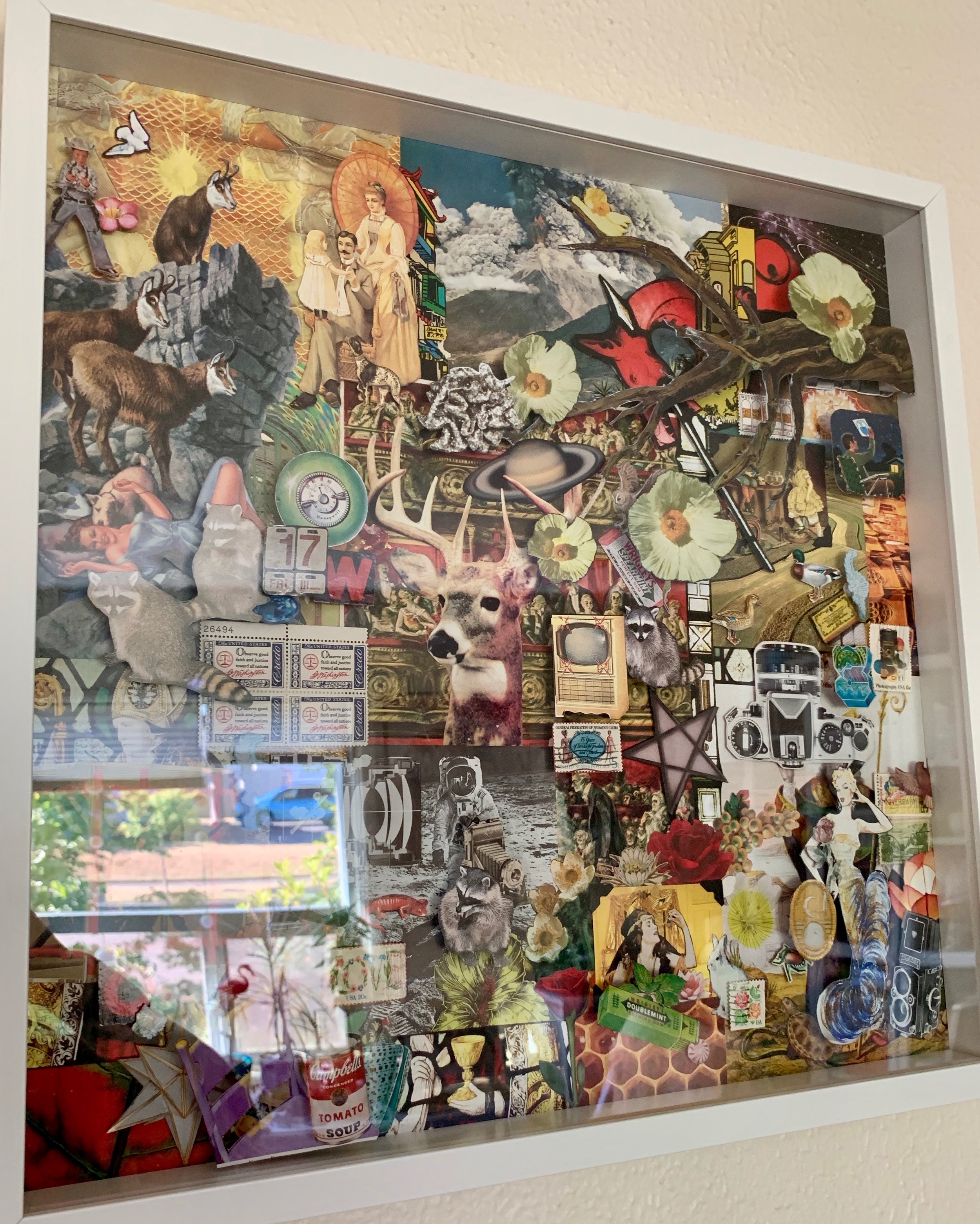 IMG_1428.jpeg