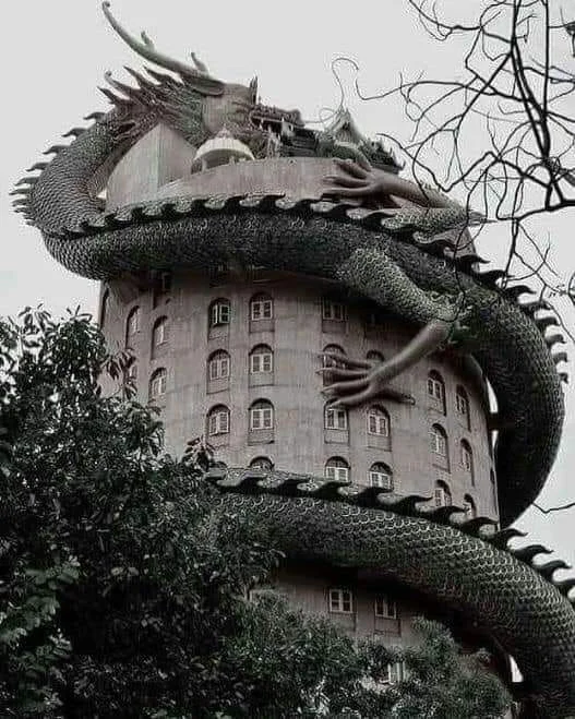 The Dragons