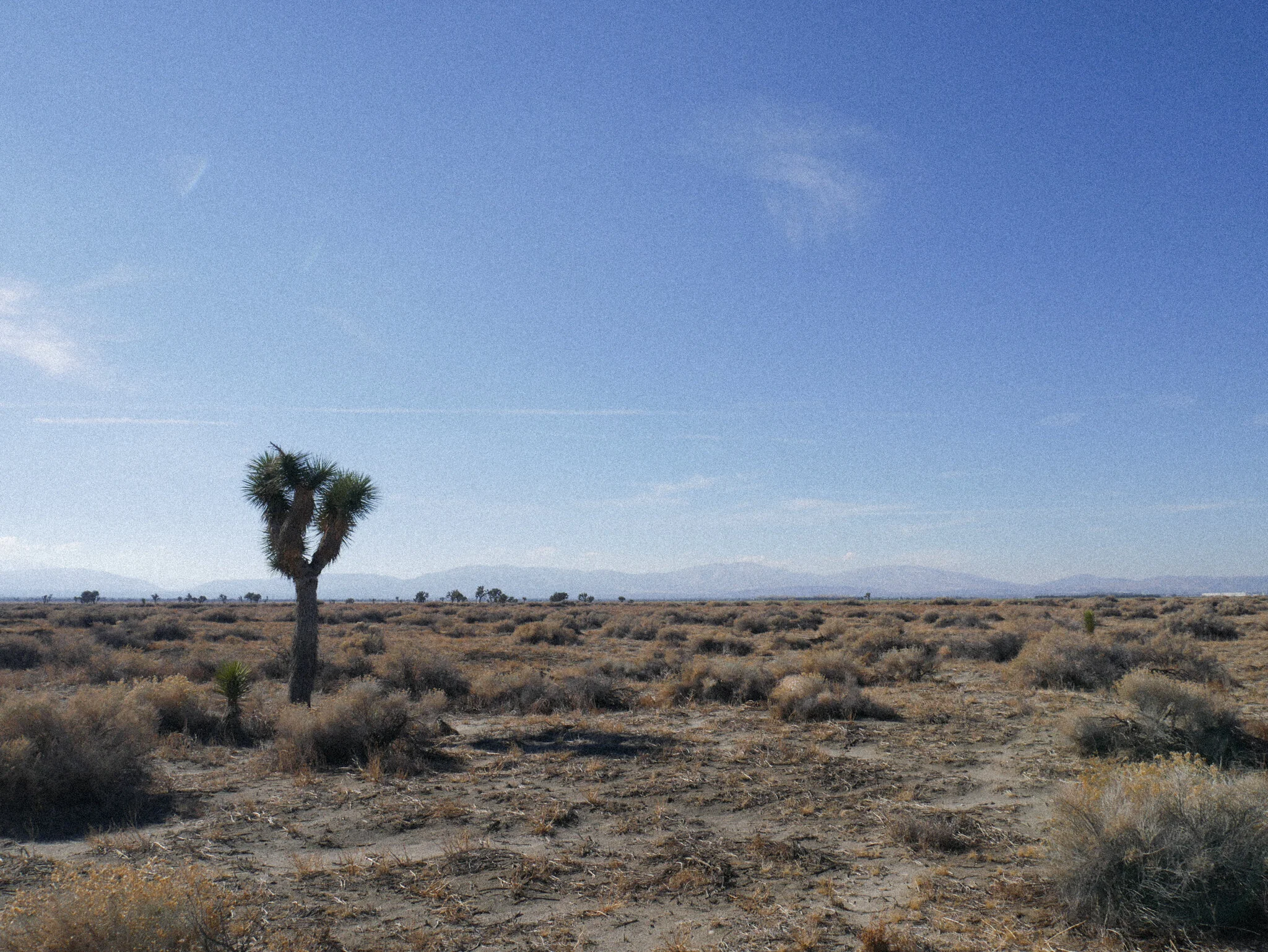 P1040844-2.jpg