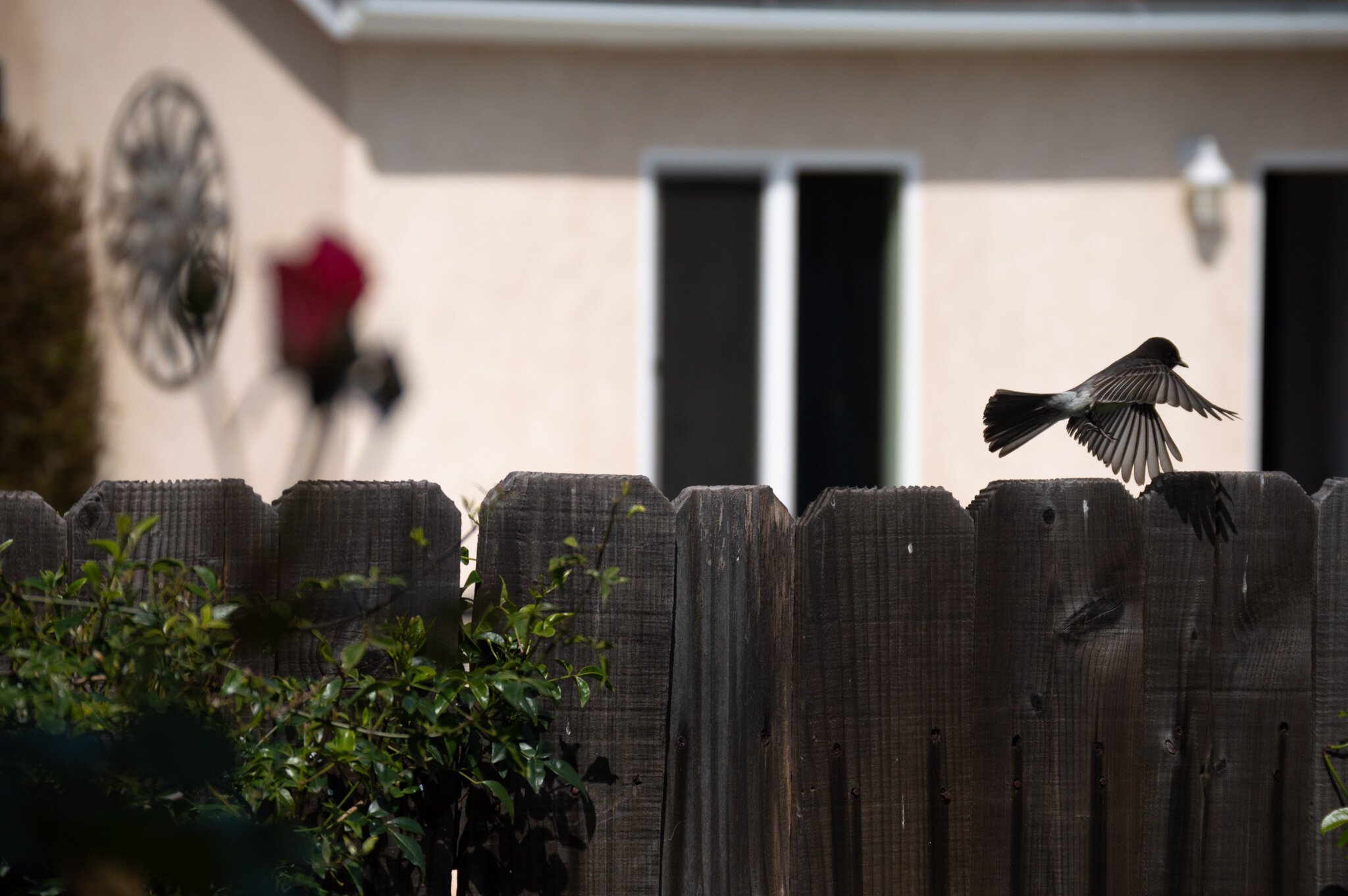 DSC_0760a.jpg