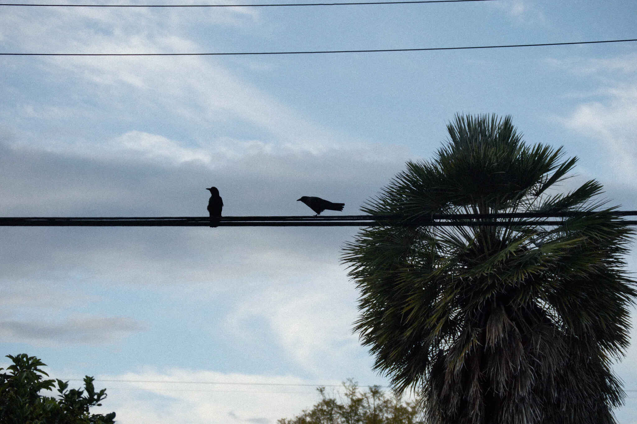 DSC_0818.jpg