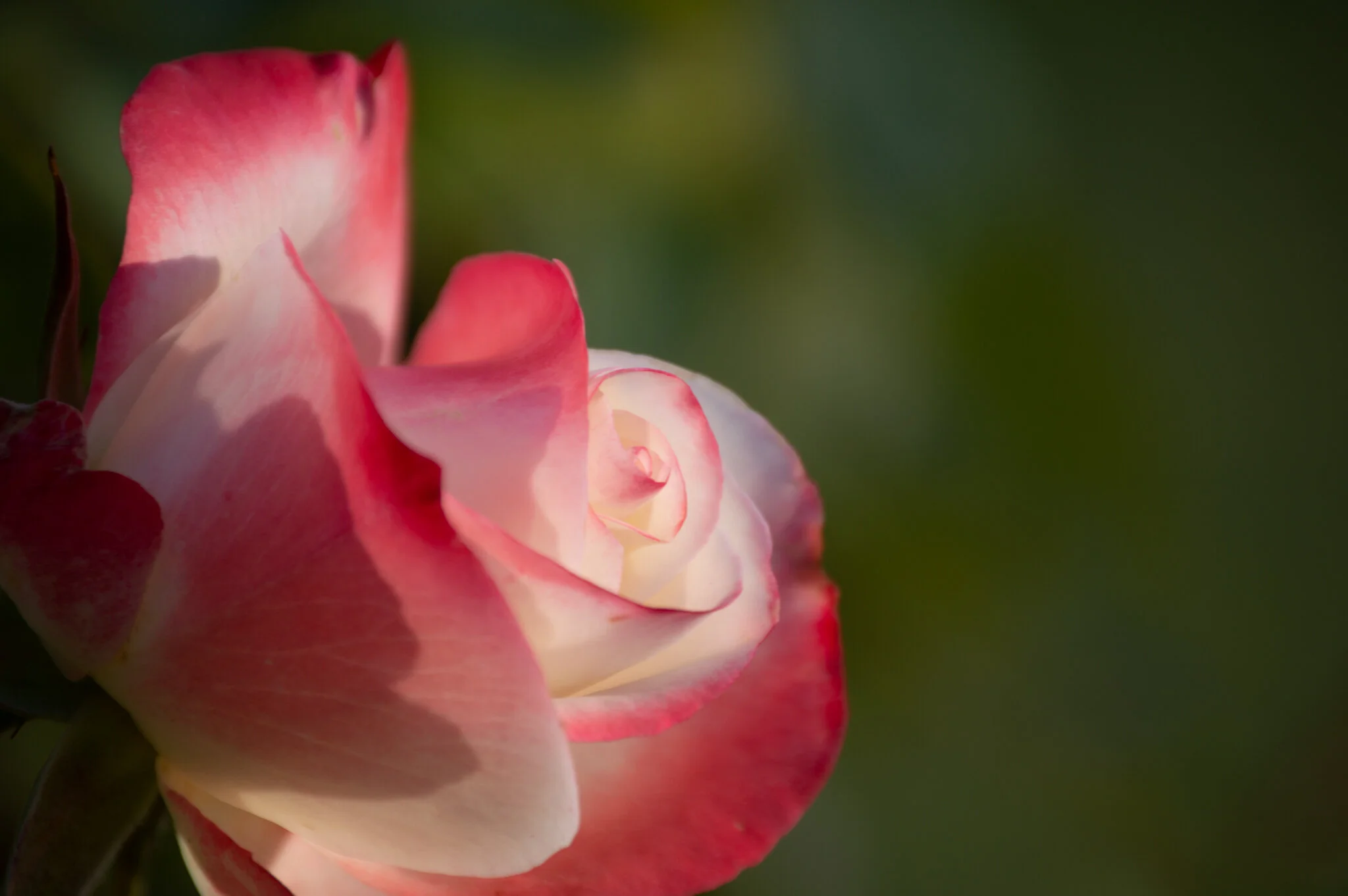 DSC_0211.jpg