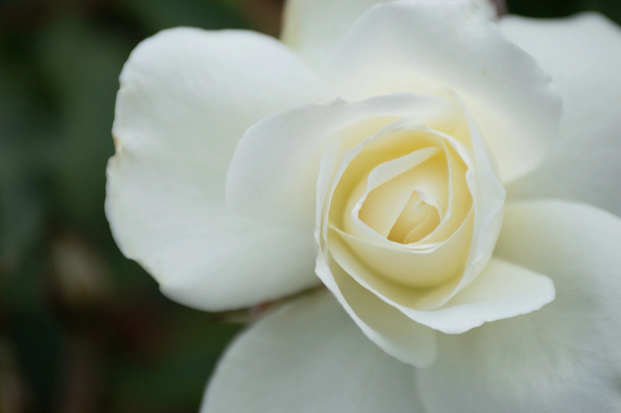 DSC_0463.jpg