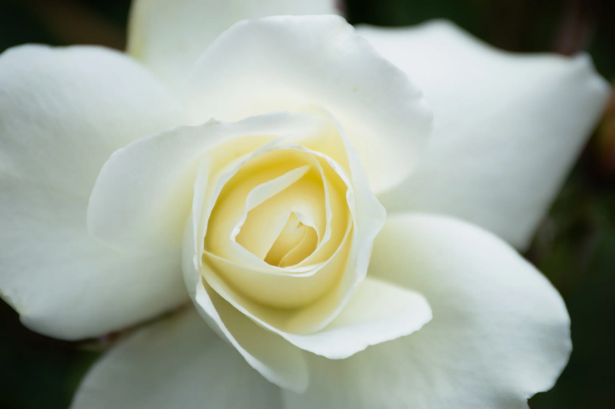 DSC_0465.jpg