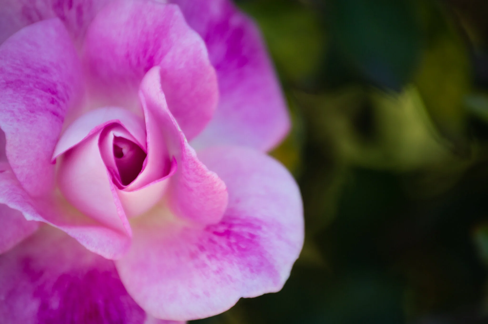 DSC_0718.jpg