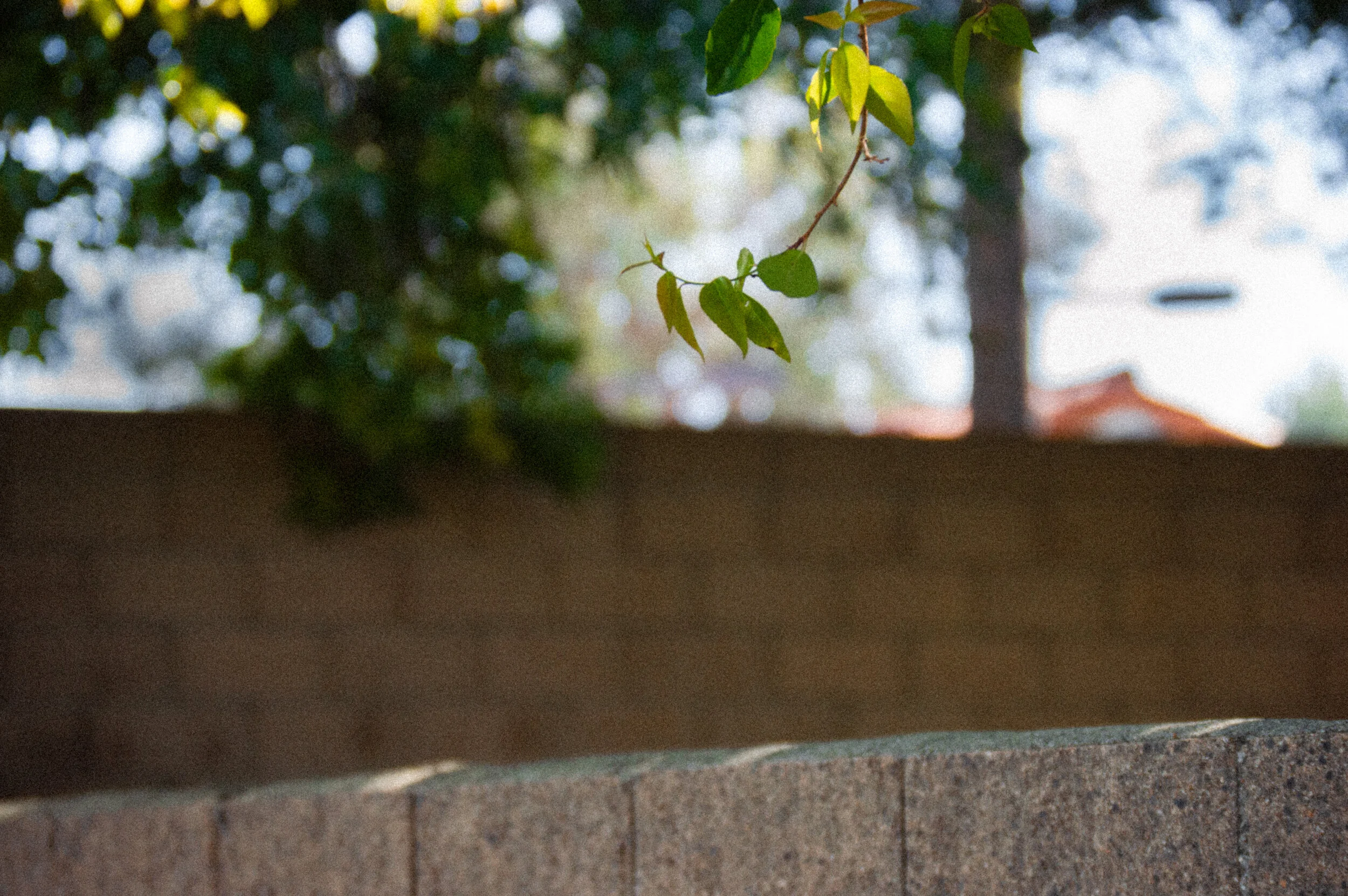 DSC_0297.jpg