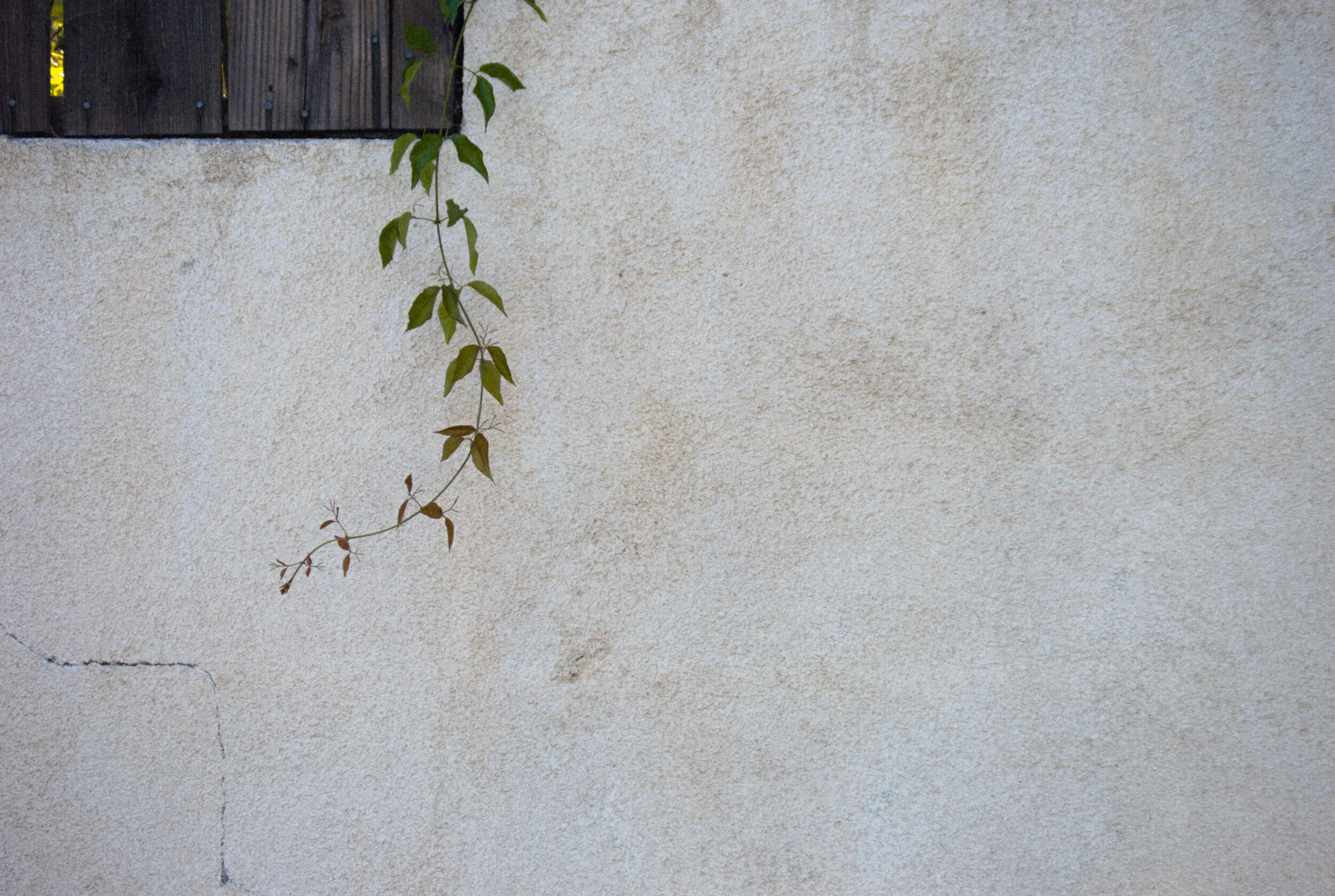 DSC_0325.jpg