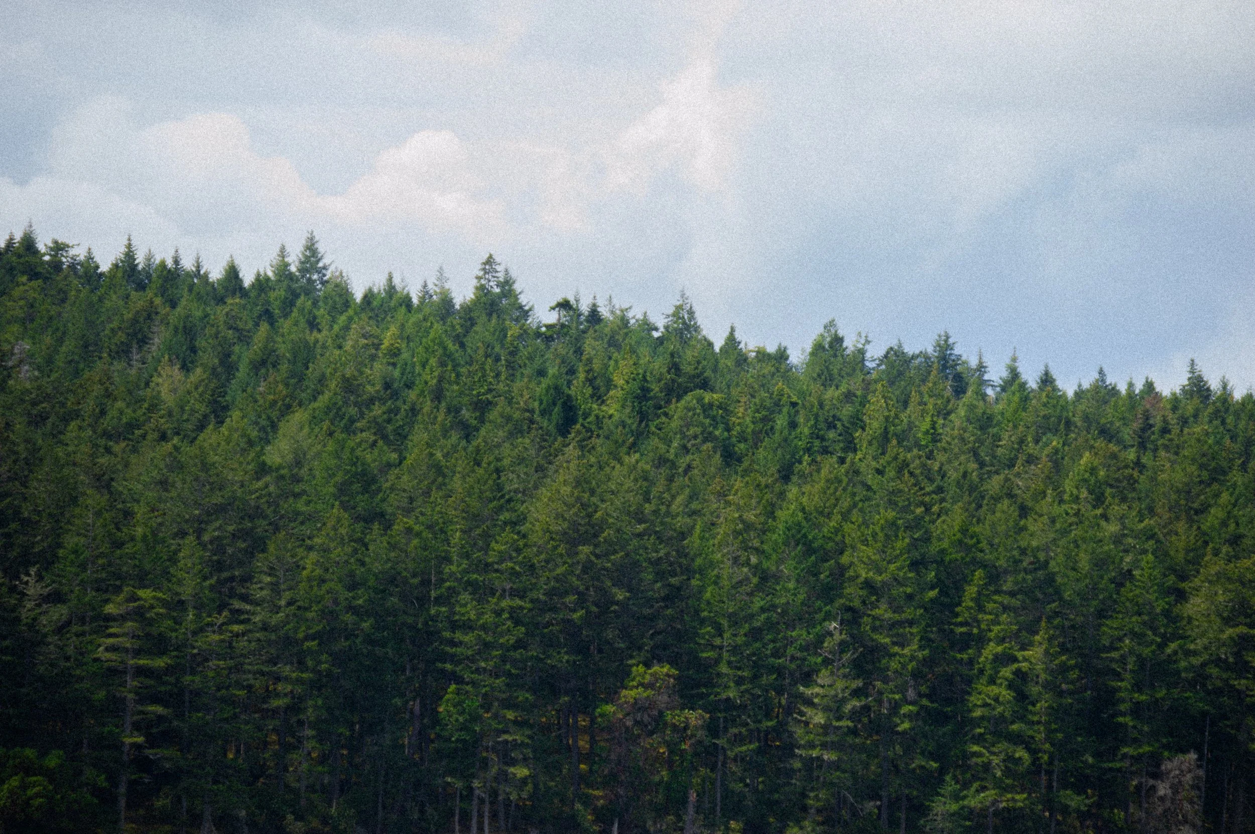 DSC_1069.jpg