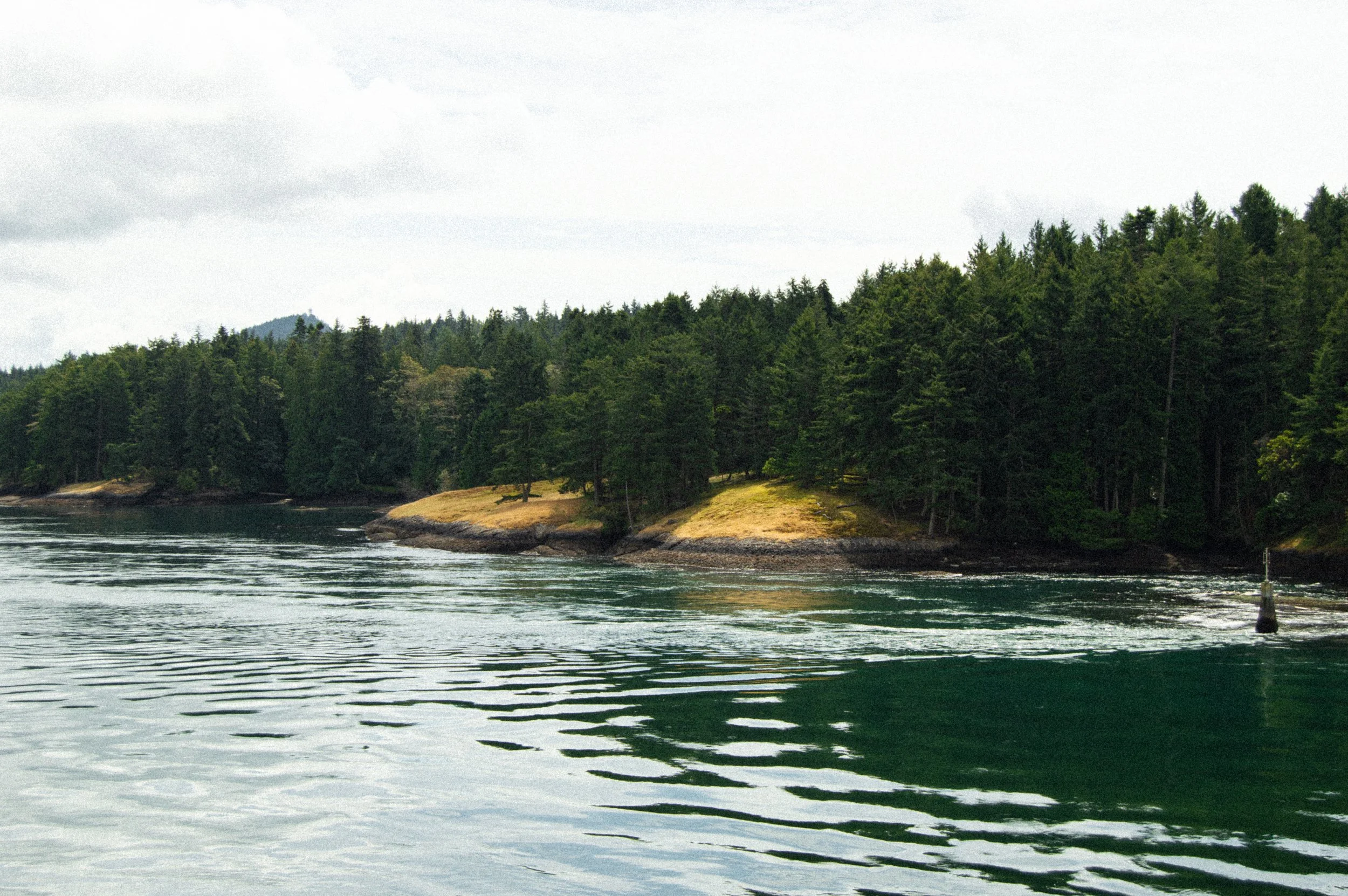 DSC_1084.jpg
