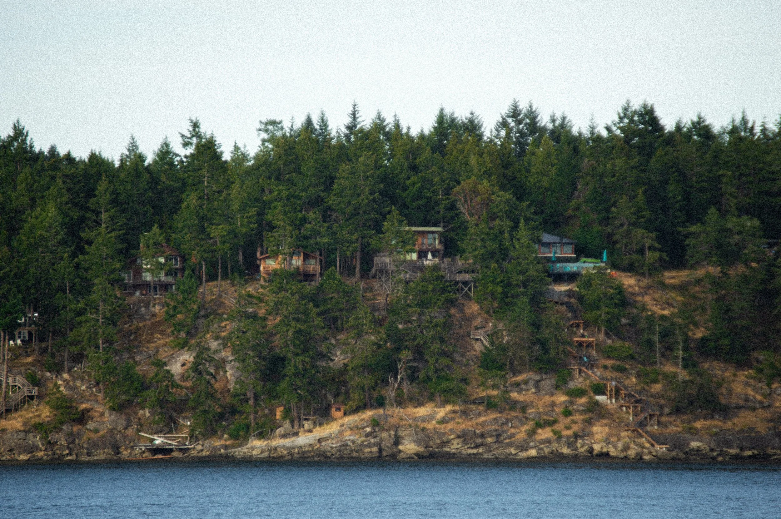 DSC_1192.jpg