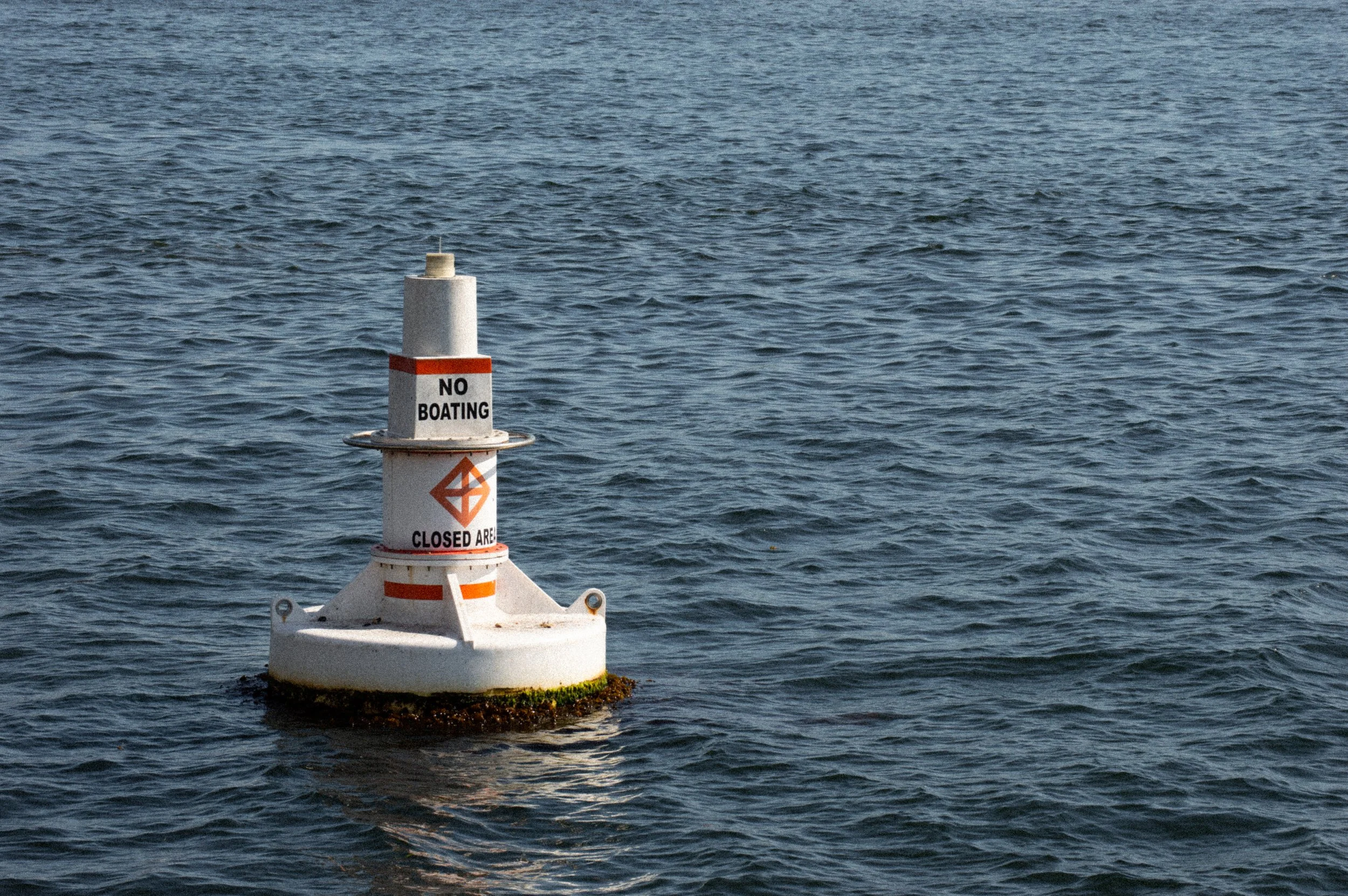 DSC_1271.jpg