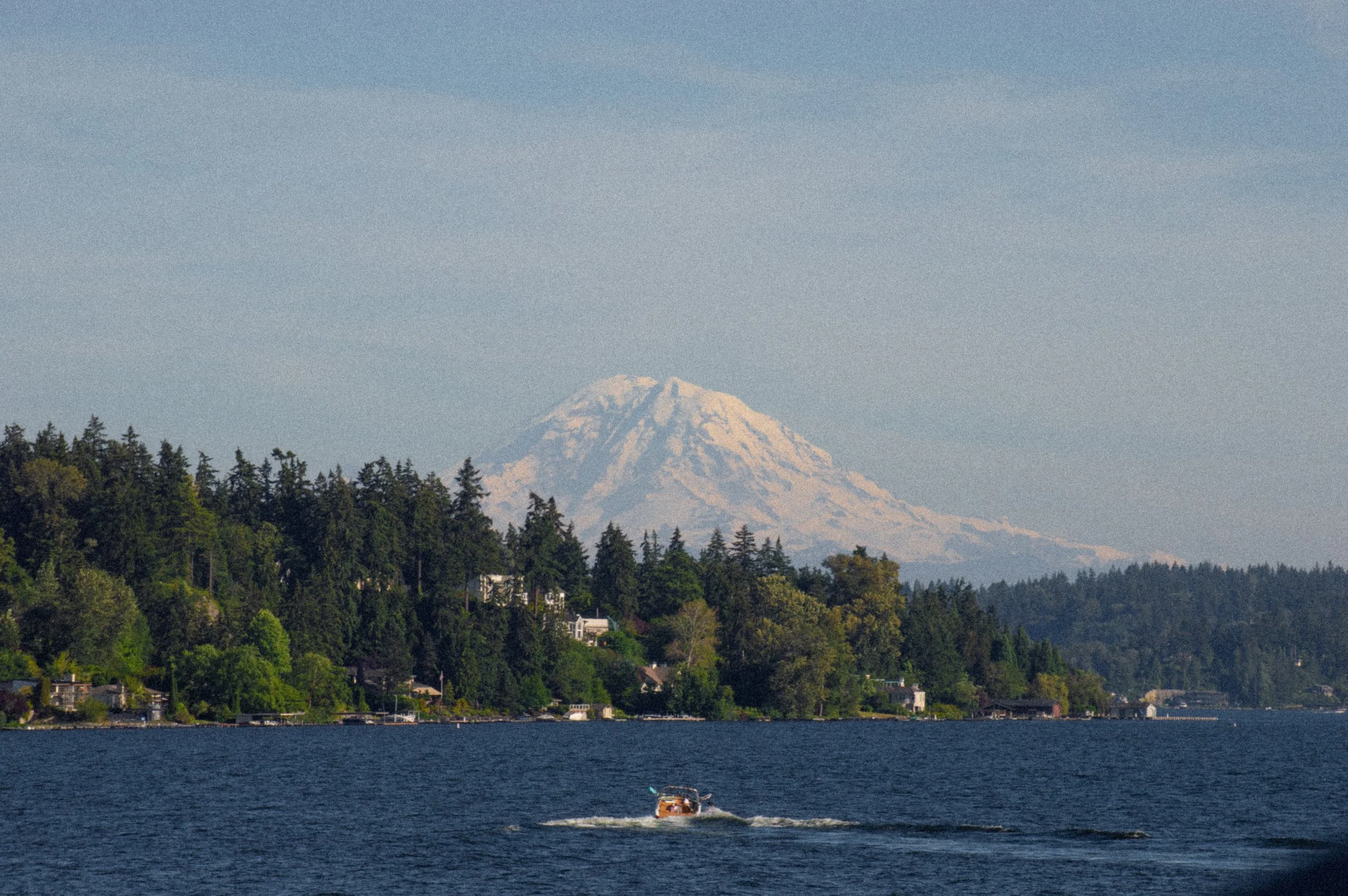 DSC_1246.jpg