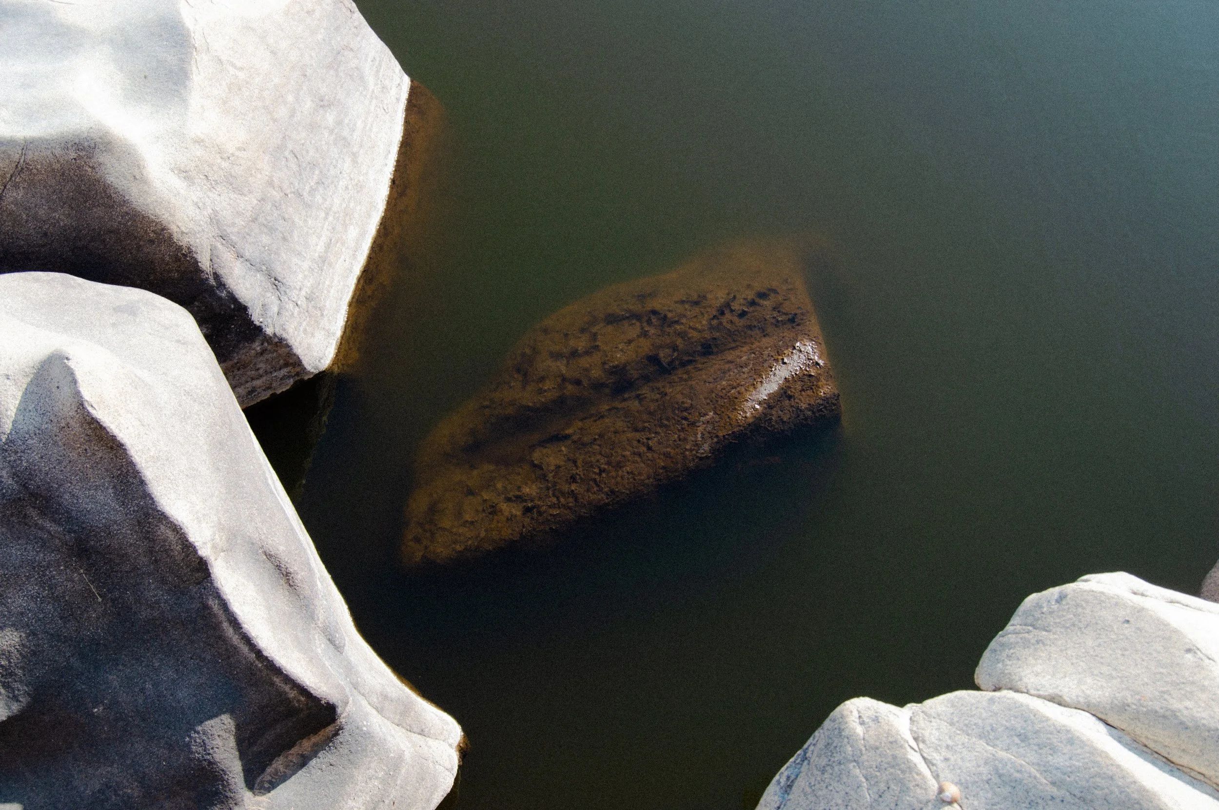 DSC_0486.jpg
