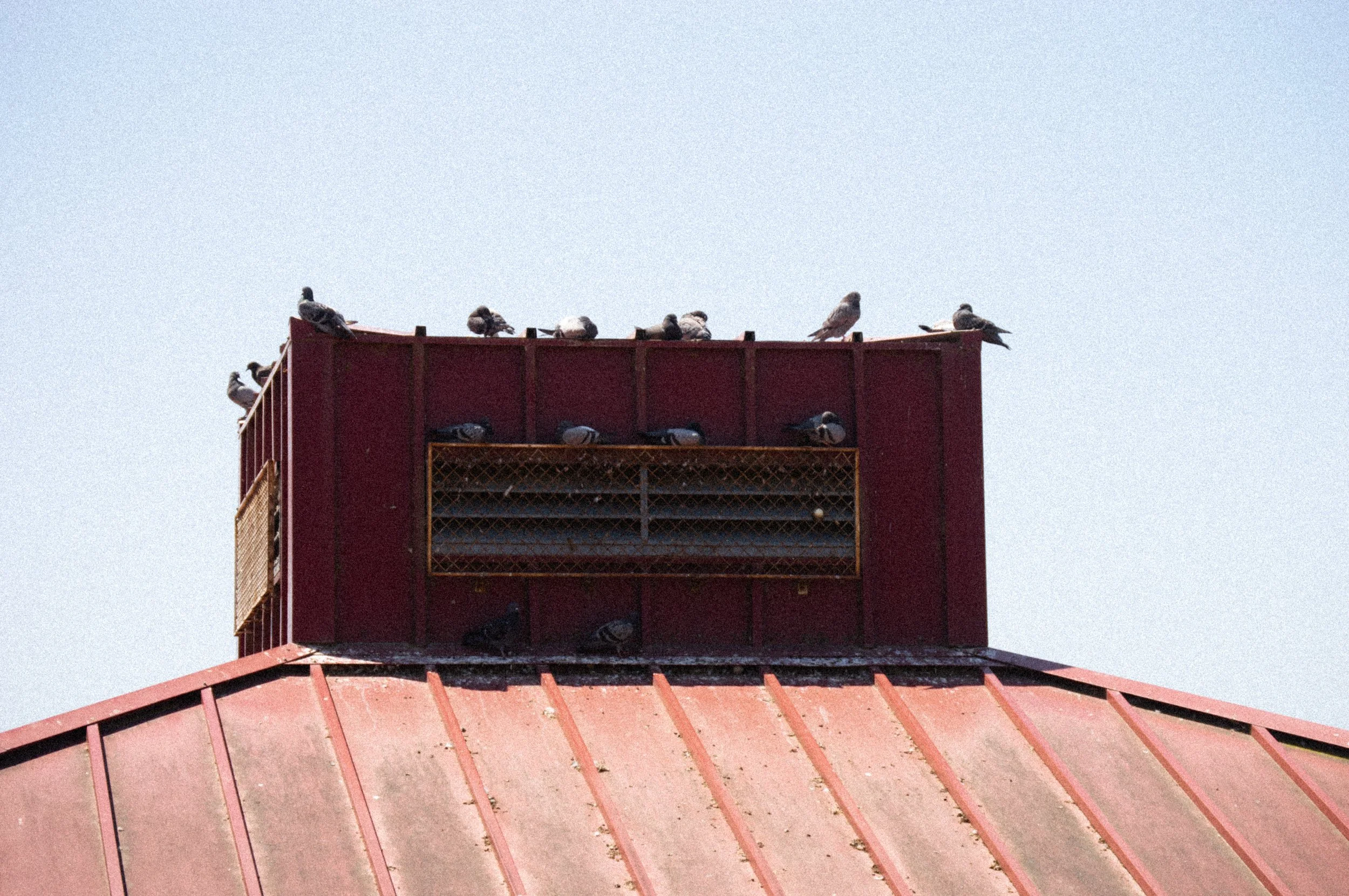 DSC_0850.jpg