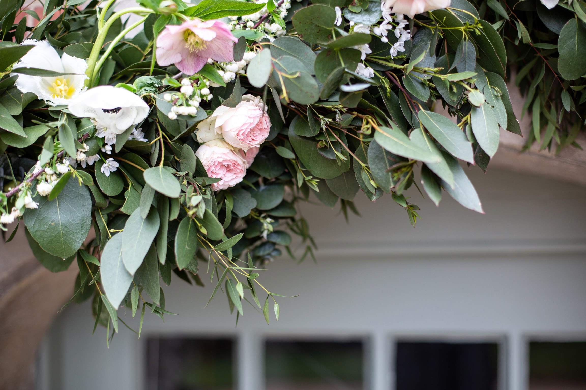 Linkhurst (JK) arch hellebore .jpg