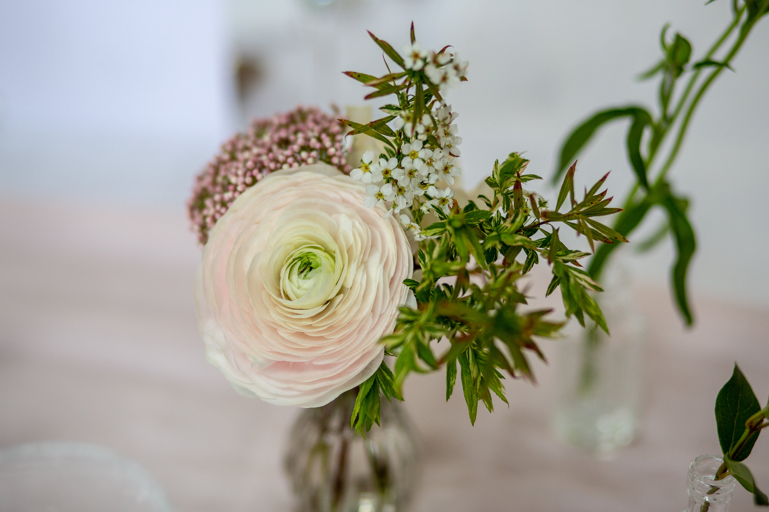 Linkhurst (JK) Ranunc bud vase close up.jpg