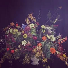 Autumn Bounty