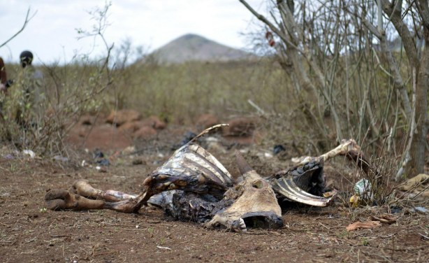 Namibia Announce Drought War Chest Of N$573