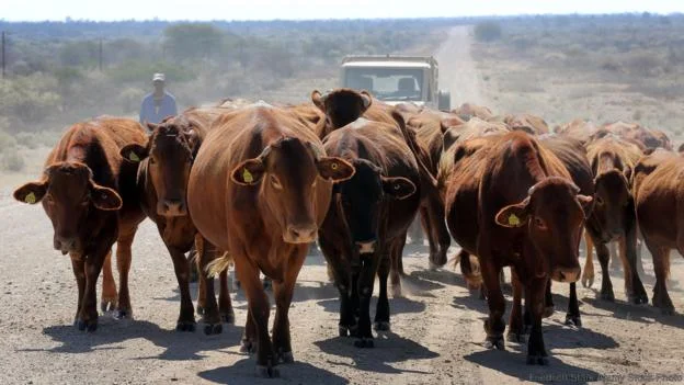 Farmers Struggling In Namibia As Inputs Increase