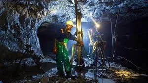 Zim To Replace Indigenisation Law