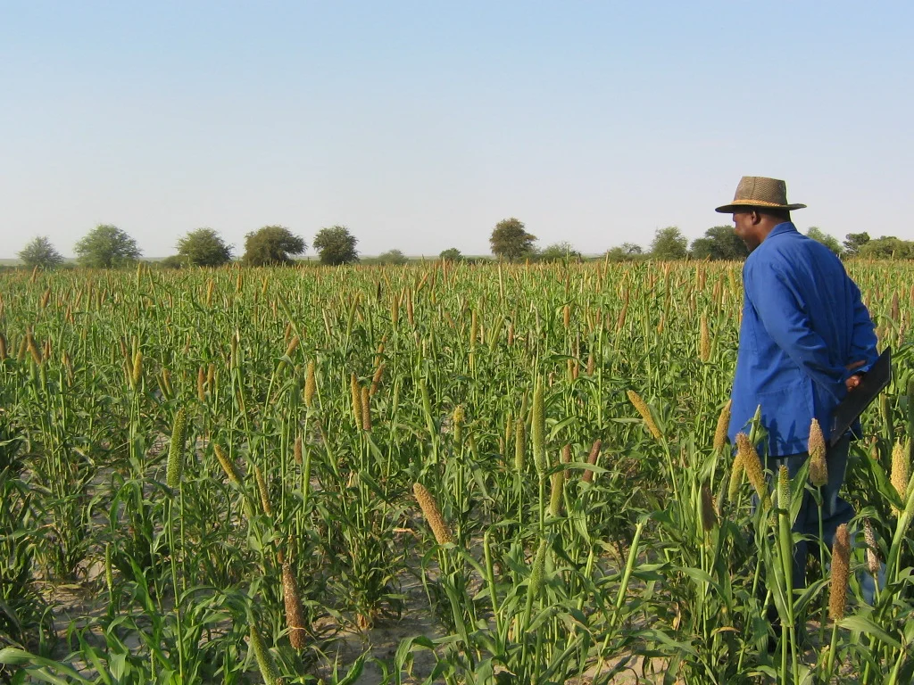 Namibia’s Agricultural Sector Struggles to Keep Pace