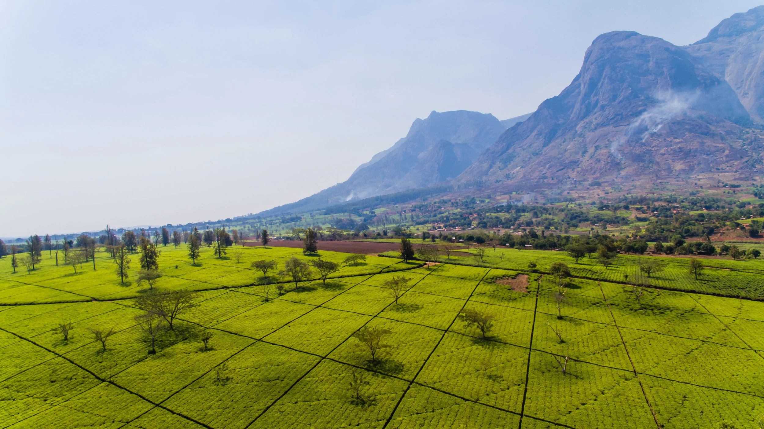 Malawi Investment Inflows Move at Slow Pace