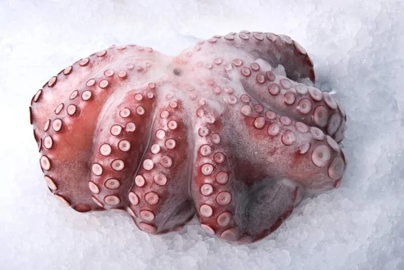 Mozambique seizes haul of frozen octopus 