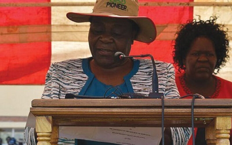 Zimbabwe: Minister pleads with citizens not to shun own currency