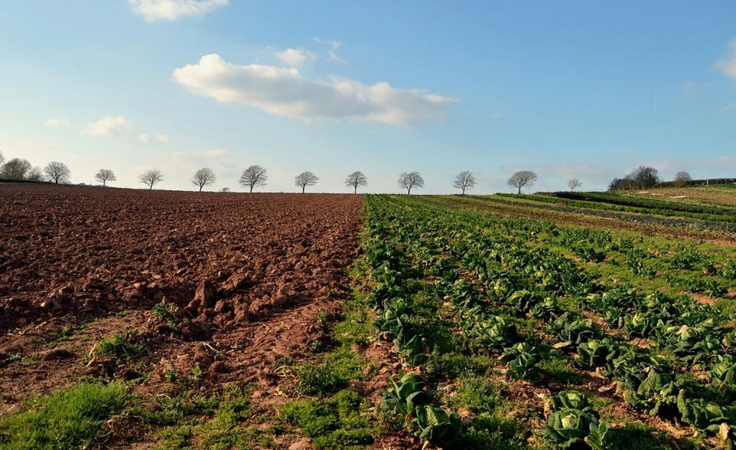Zimbabwe: 2021 farming season preps in shambles