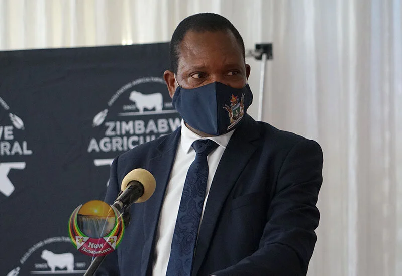 Zimbabwe: Ama granted permission to issue cannabis trade permits