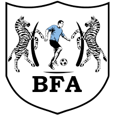 Botswana: BFA, UEFA working on bounce back programme