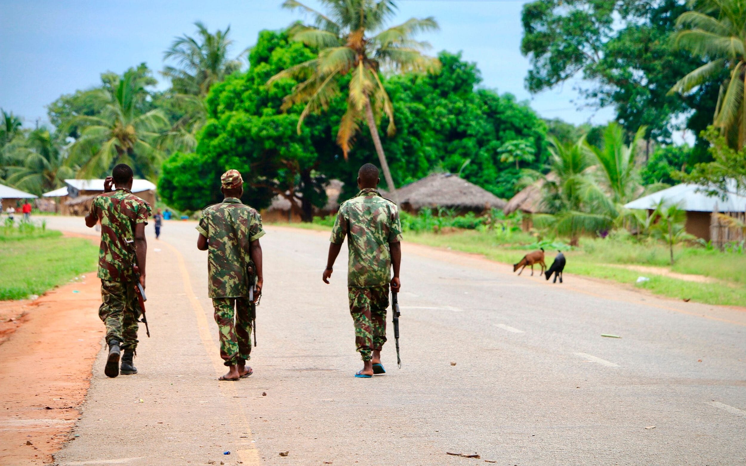 UN urges Mozambique to probe massacre