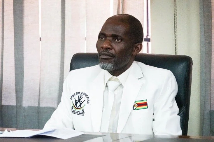 Zimbabwe: Endless Power Struggles Holding Back National Development - Busha