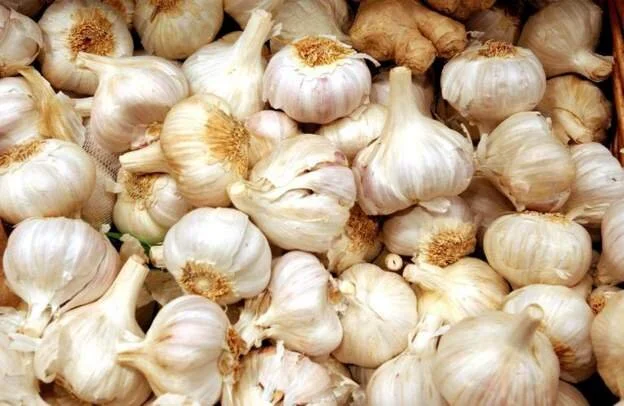 SA looks into price hike for ginger and garlic