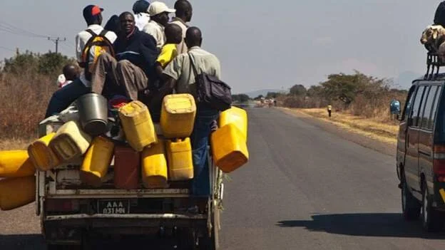 Mozambique bans 'My Love' trucks over virus concerns