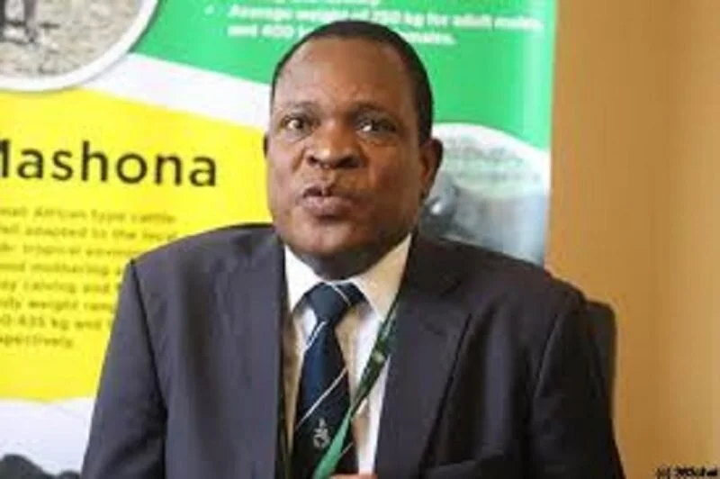 Zimbabwe: MPs Demand Tobacco Producer Price As Selling Season Approaches