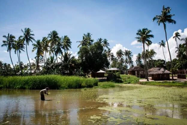 Key Mozambique gas hub 'under attack by gunmen'