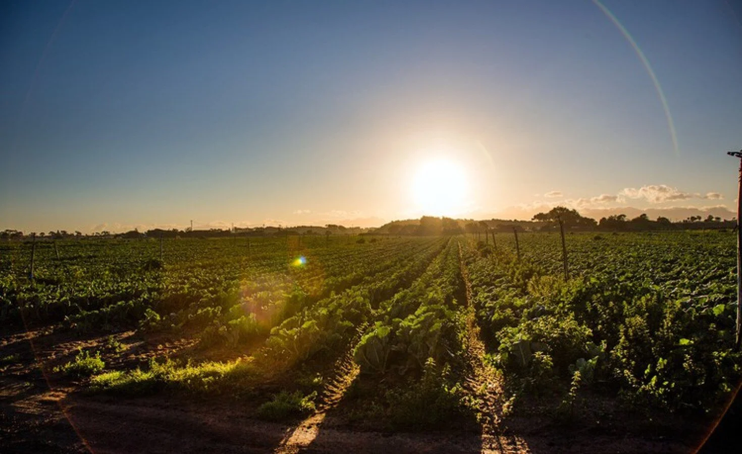 Zimbabwe: Govt Fights Back As Banks Shut Doors On Its 99-Year Farm Leases
