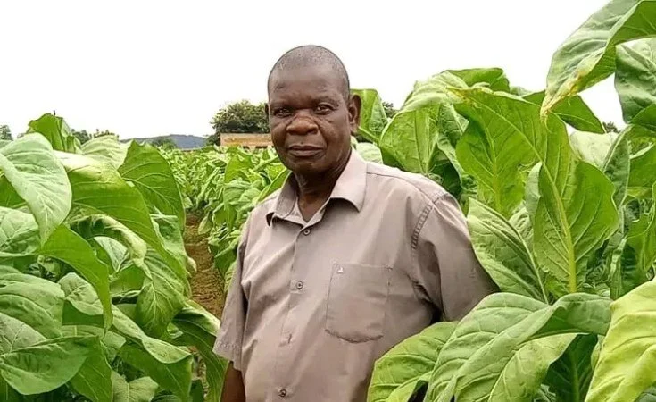 Malawi President Proposes Switch From Growing Tobacco