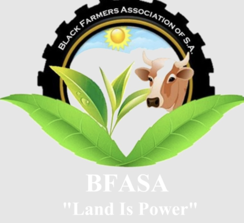 South Africa: Marijuana Farm License Body's Board Are Constitution Delinquents - Black Farmers Association