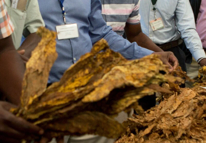 Zimbabwe: Fears Tobacco Proceeds Being Channelled to Offshore Accounts
