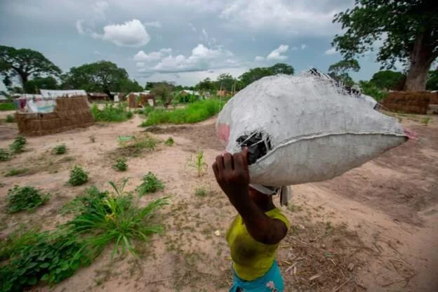  South Africa-based businesses rally aid for Mozambique