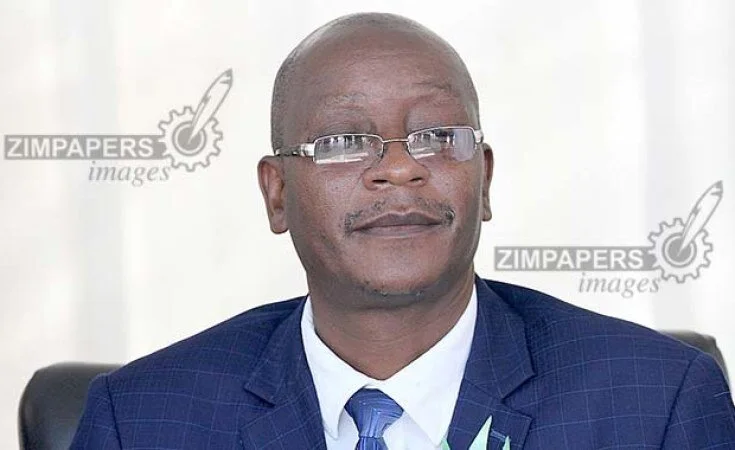 Zimbabwe: Zanu-PF Has No Appetite for Creating One-Party State - Ziyambi