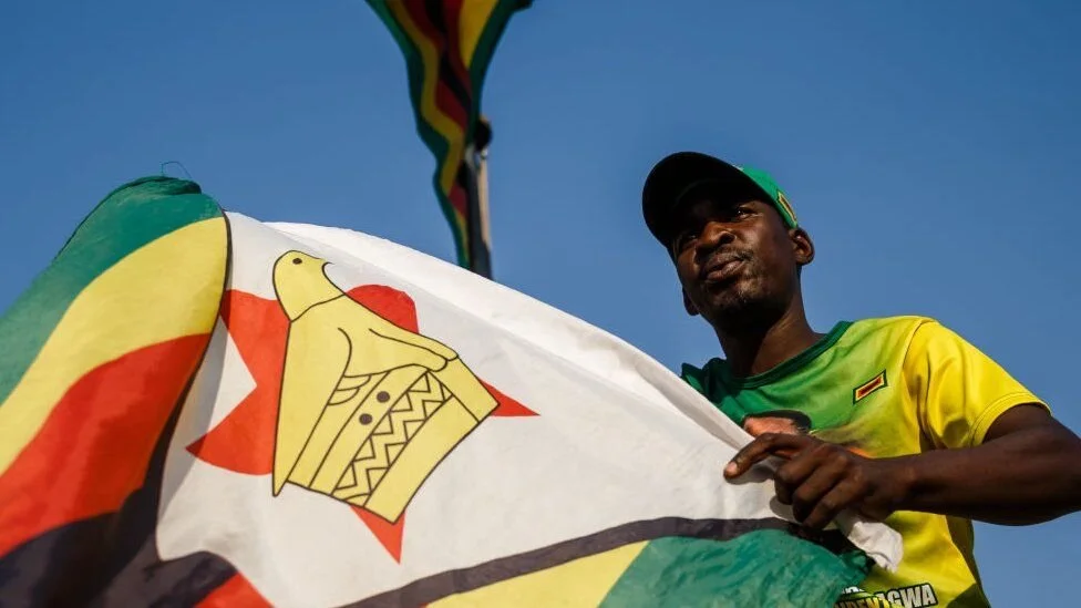 Zimbabwe's plan to outlaw 'unpatriotic acts'
