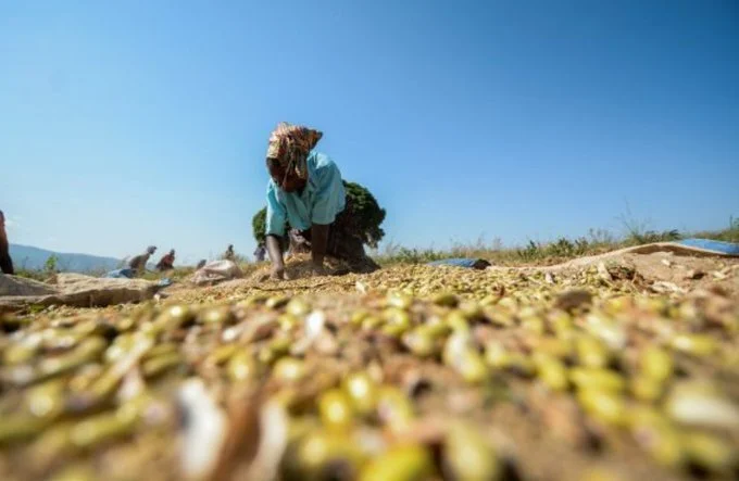 World Bank report: 4 key findings that show the scale of rising poverty in Zimbabwe