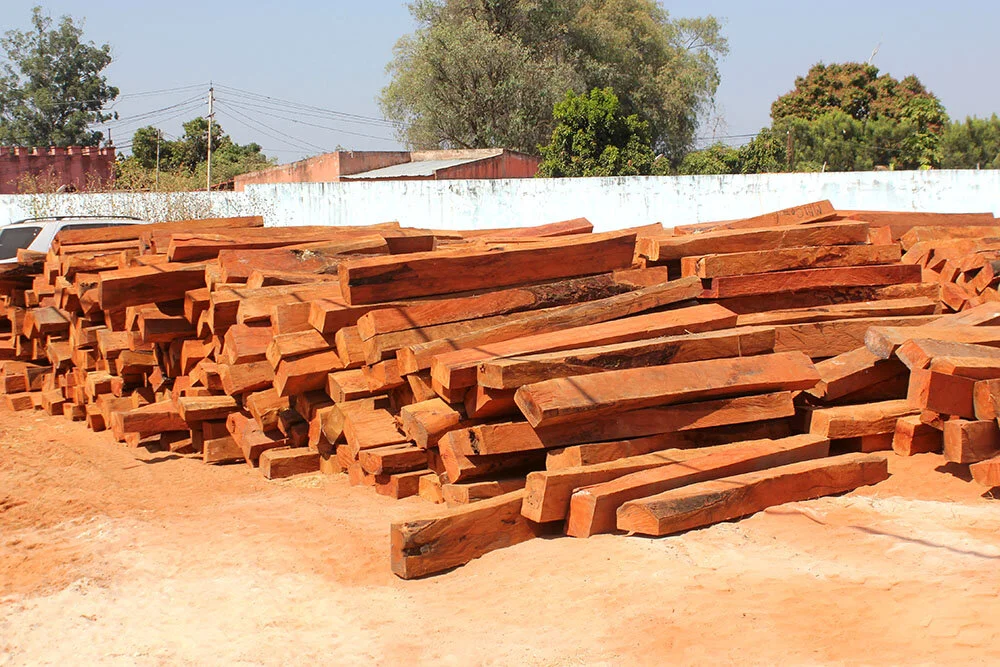 Angola: Governor Reiterates Fight Against Illegal Exploitation of Natural Resources