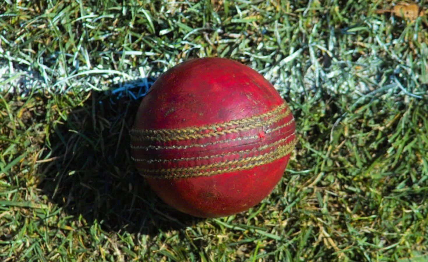 South Africa: Cricket Dreams Die On Unsafe Pitch in Khayelitsha