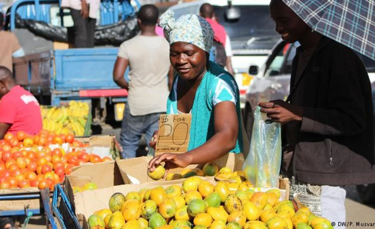 Zimbabwe: Govt Launches Ambitious Rural Horticulture Plan