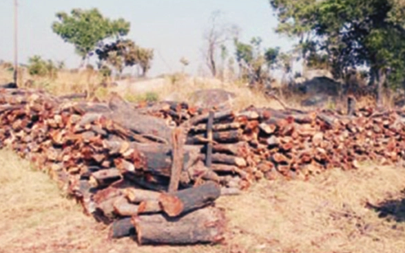 Zimbabwe: 120 Tonnes Wood, 3,000 Bags of Charcoal Seized