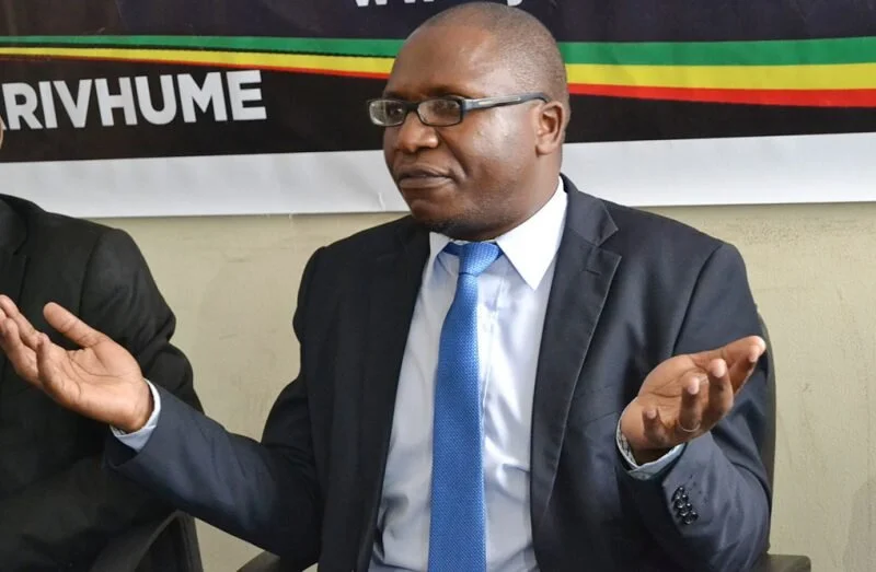 Zimbabwe: Ngarivhume Petitions Parliament Over Electoral Reforms